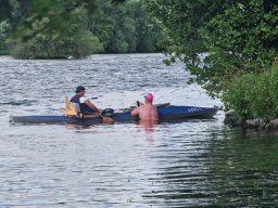 Mainschwimmen Juni 2026